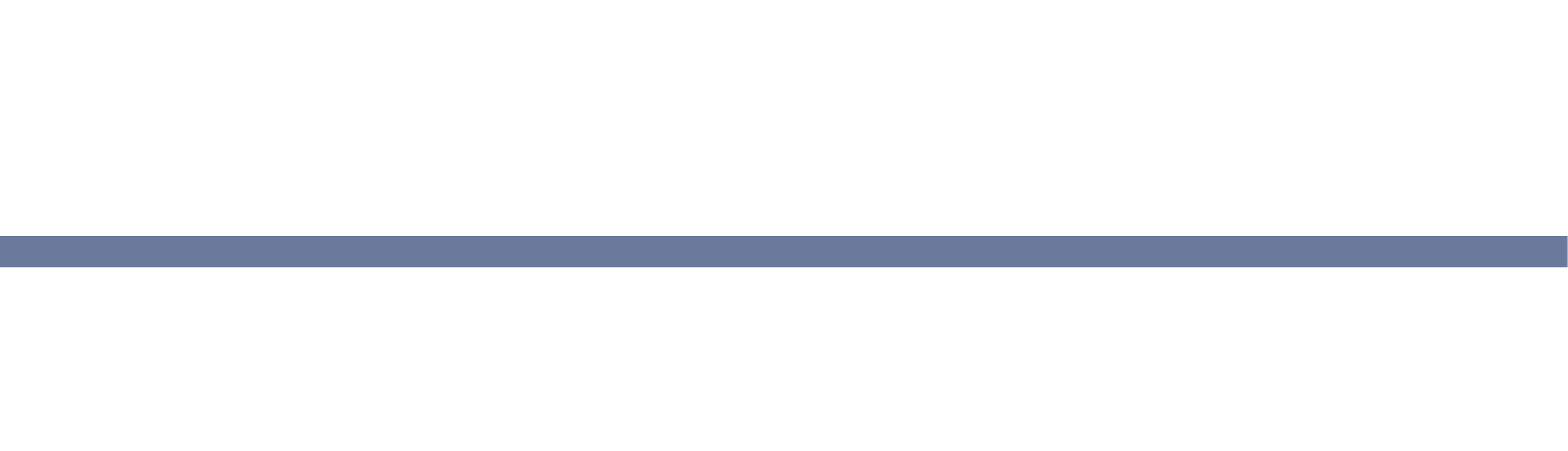 Nordic Security Sweden AB logga